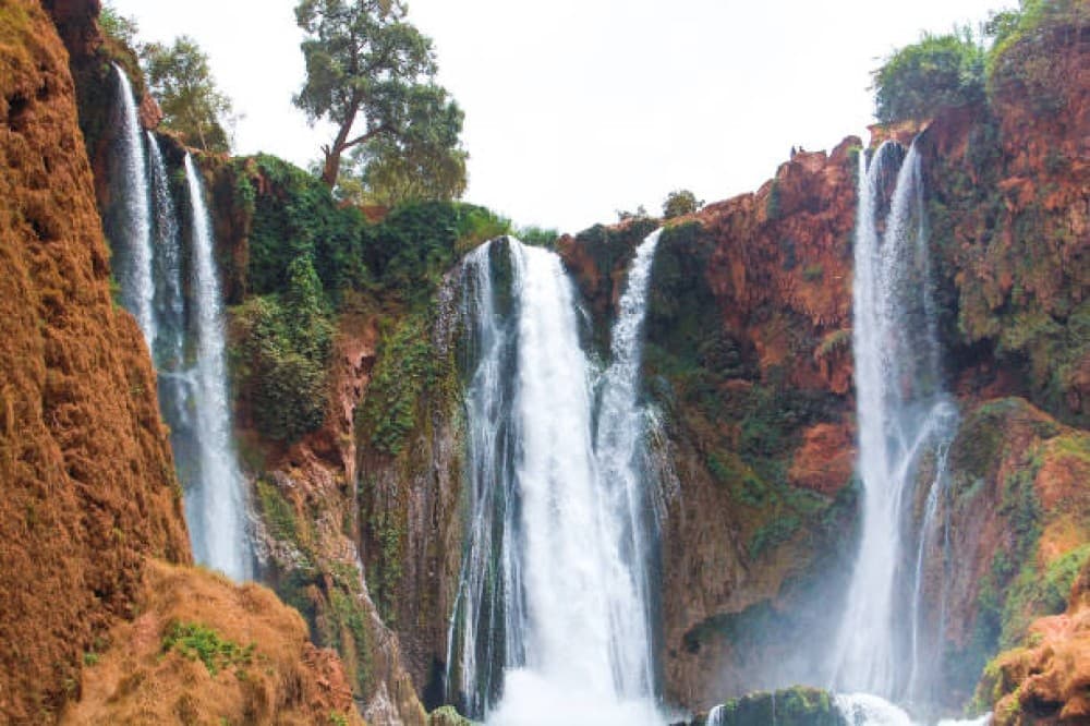 Ouzoud Adventure: A Full-Day Journey to Moroccos Iconic Falls | ®ExcursionMania