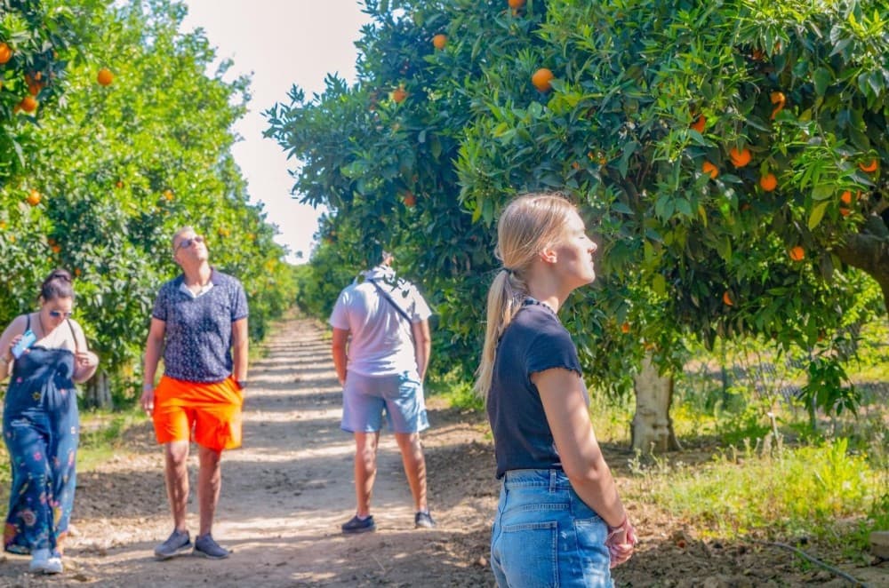 Side Mix Tour: The Best of Side in One Day | ®ExcursionMania