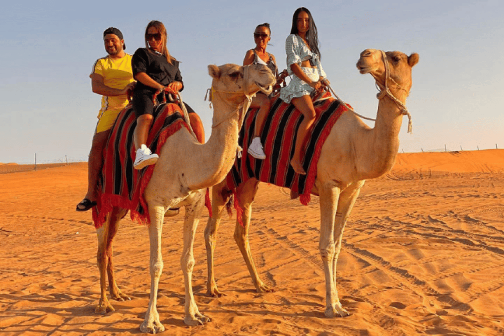 Private Desert Safari Abu Dhabi With Camel Ride And Sand Boarding | ®ExcursionMania