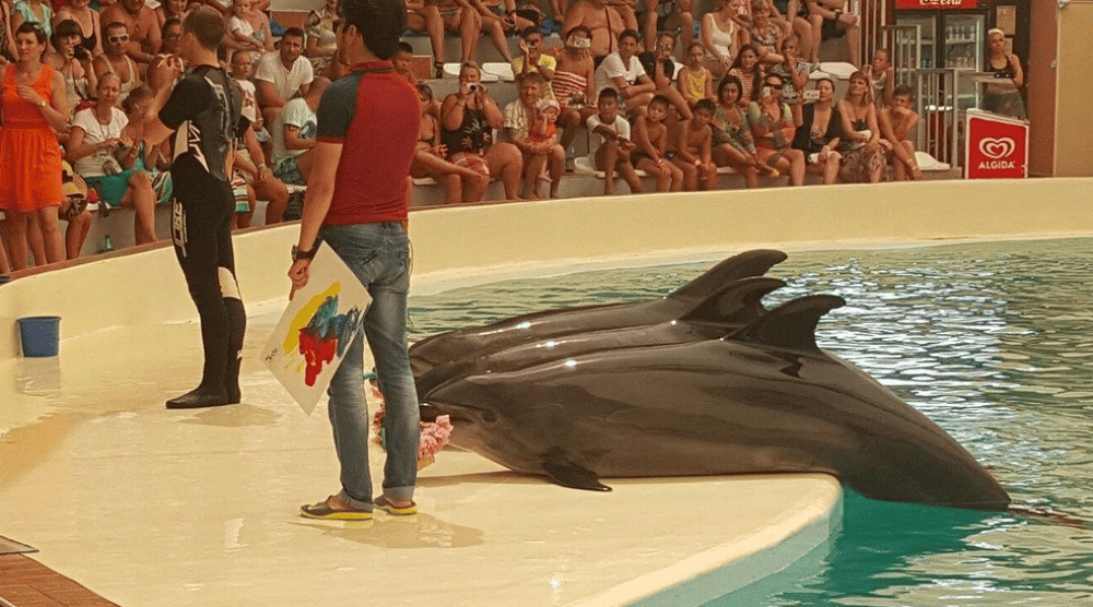 Side Aqualand Dolphinland Aquapark | ®ExcursionMania