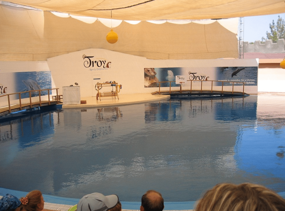 Side Aqualand Dolphinland Aquapark | ®ExcursionMania