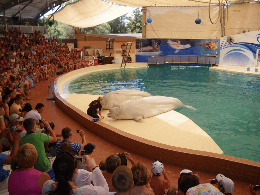 Side Aqualand Dolphinland Aquapark | ®ExcursionMania