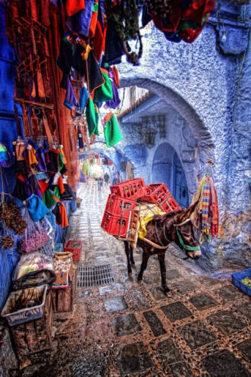 Tangier to Chefchaouen Excursion / Explore Moroccos Blue City | ®ExcursionMania