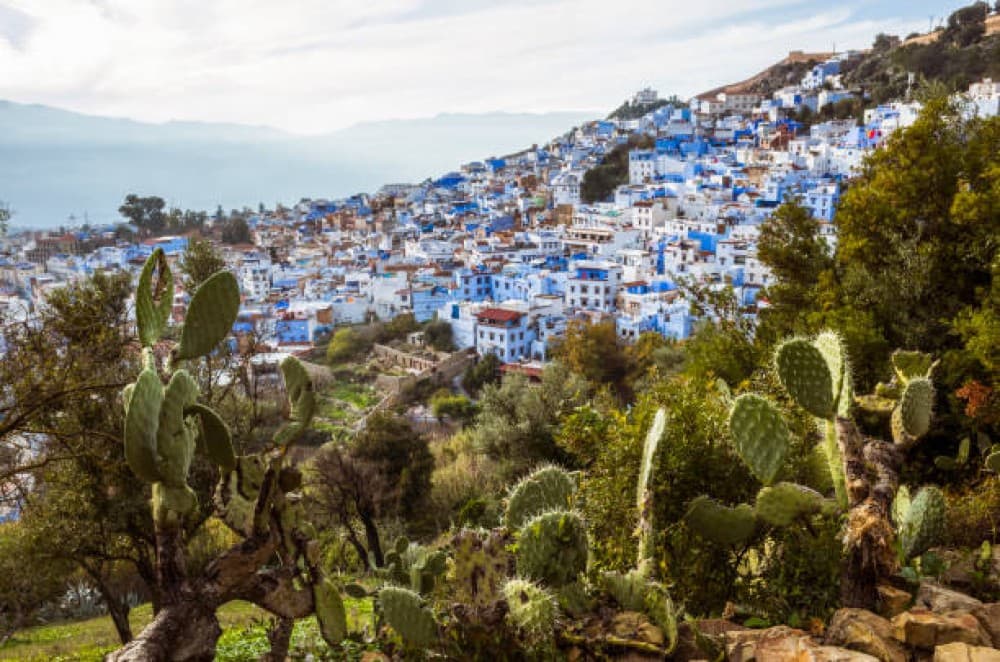 Tangier to Chefchaouen Excursion / Explore Moroccos Blue City | ®ExcursionMania