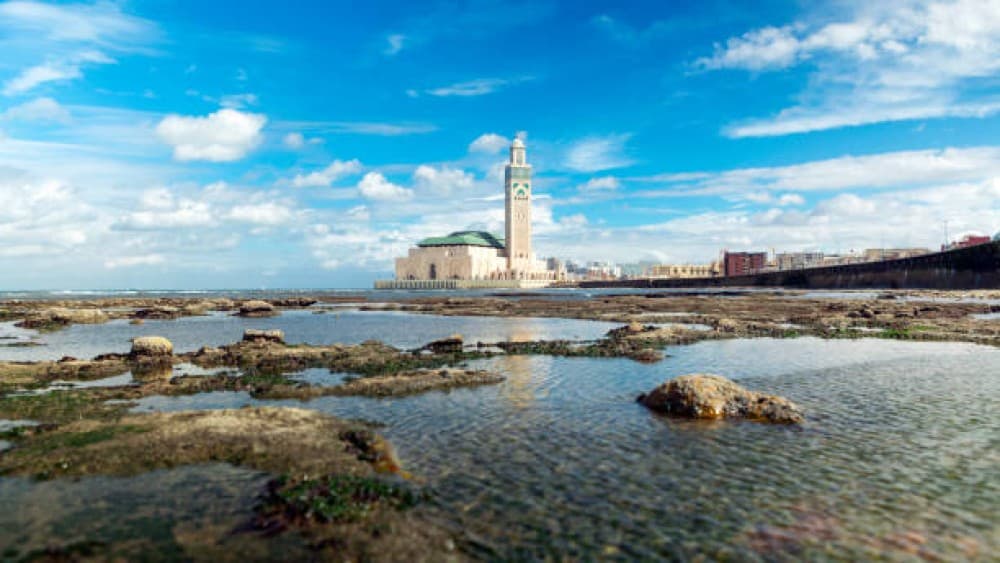 Casablanca City Discovery with Local Guide | ®ExcursionMania