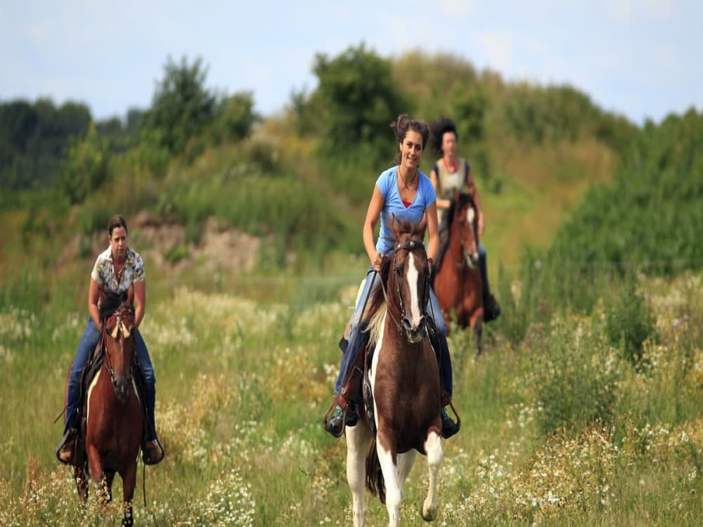 Manavgat-Side Horseback Exploration: Beach to Forest | ®ExcursionMania