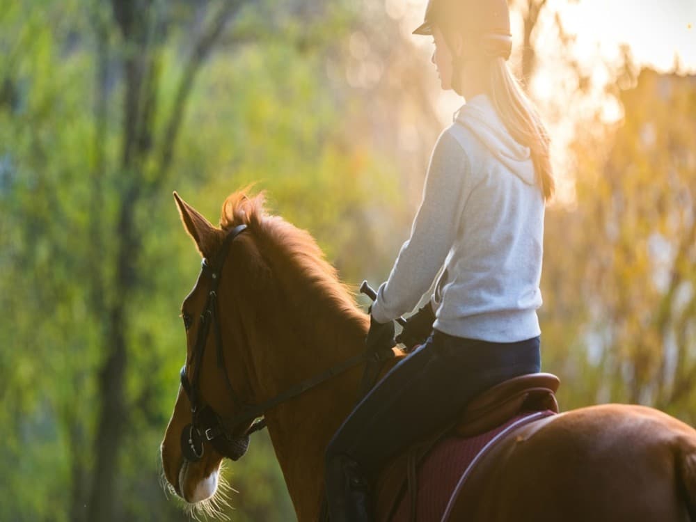 Manavgat-Side Horseback Exploration: Beach to Forest | ®ExcursionMania