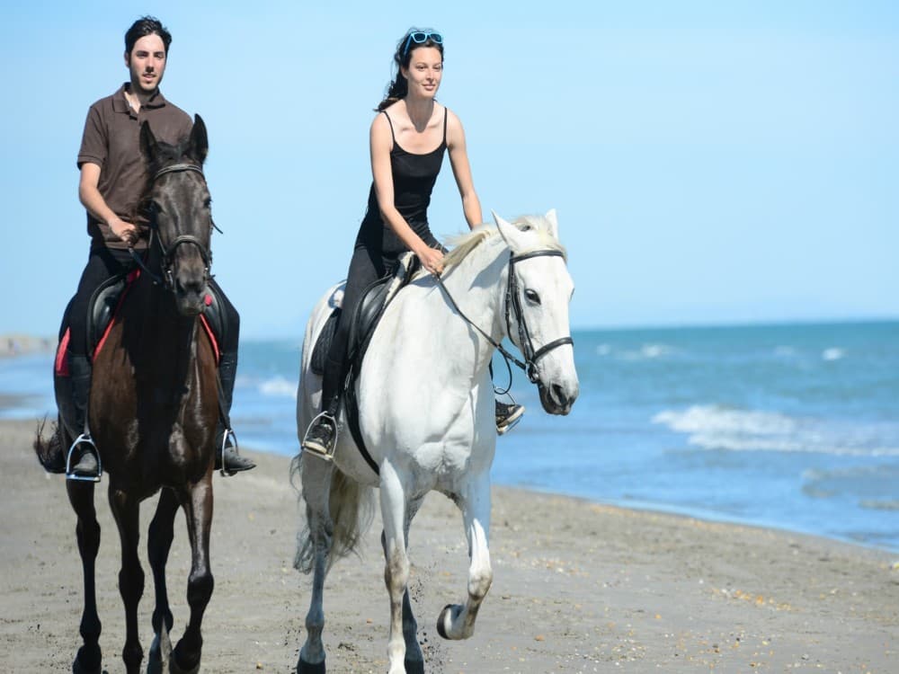 Manavgat-Side Horseback Exploration: Beach to Forest | ®ExcursionMania
