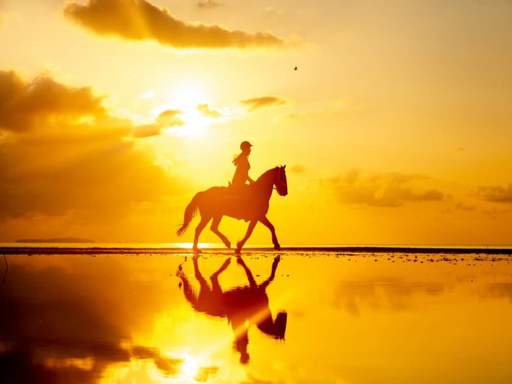 Manavgat-Side Horseback Exploration: Beach to Forest | ®ExcursionMania