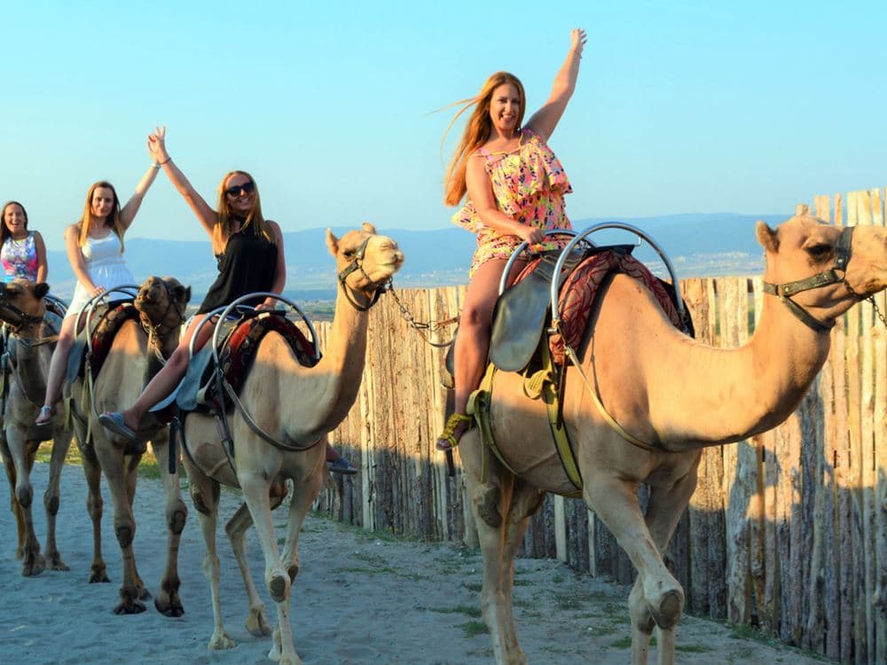 Fethiye Camel Riding: Experience Nature | ®ExcursionMania