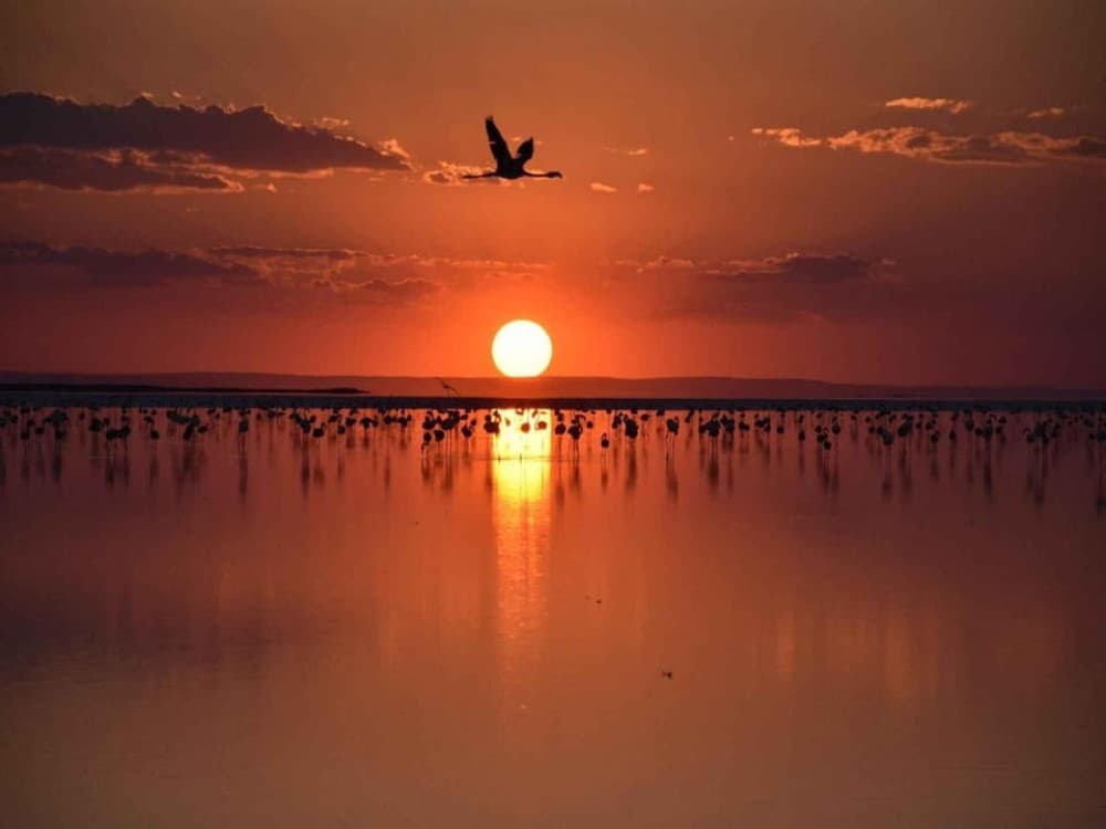 From Cappadocia: Private Salt Lake Tour w/Transfer | ®ExcursionMania