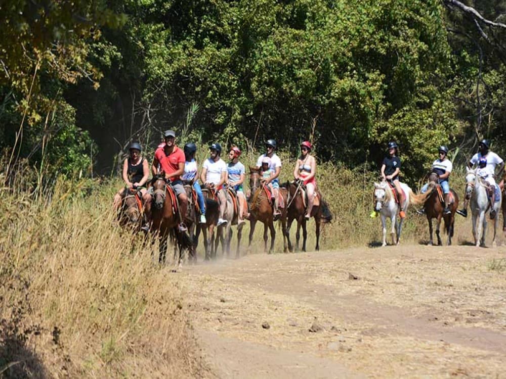Didim Horse Safari: Saddle Up for Adventure | ®ExcursionMania