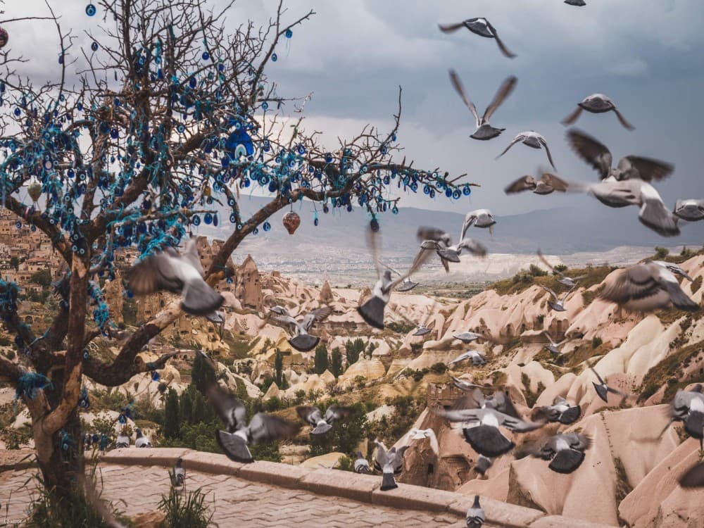 Istanbul 2-Days Cappadocia Trip with Flights and Cave Hotel | ®ExcursionMania