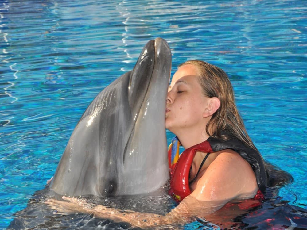 Alanya Swim with Dolphins Tour: Make a Splash | ®ExcursionMania