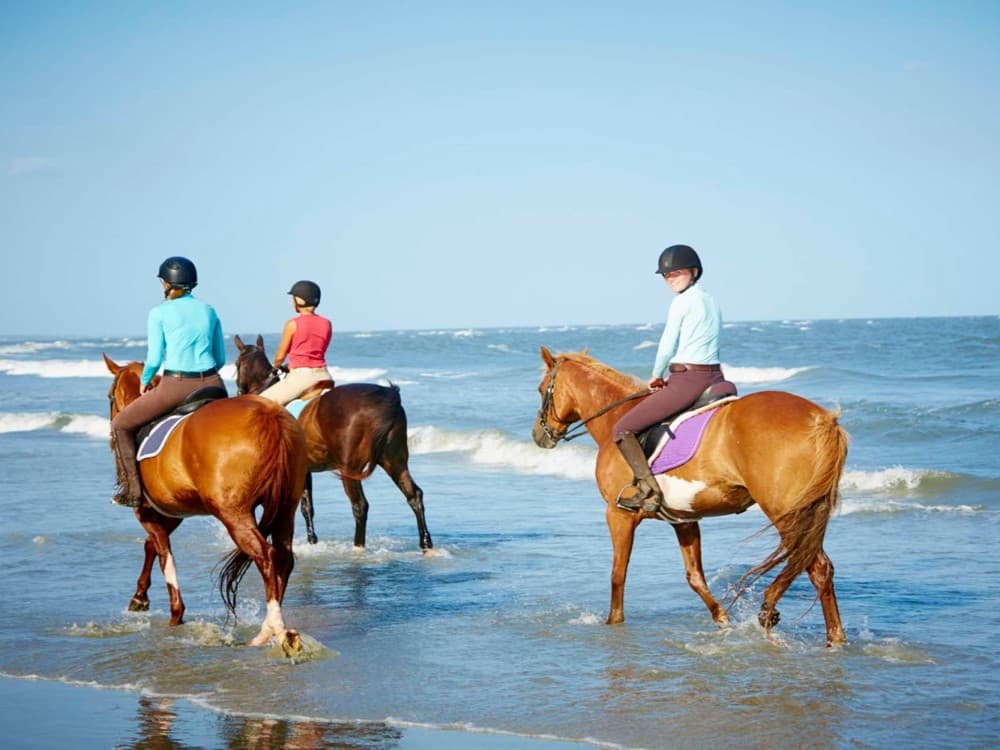 Side Horse Riding Beach and Forest Tour | ®ExcursionMania