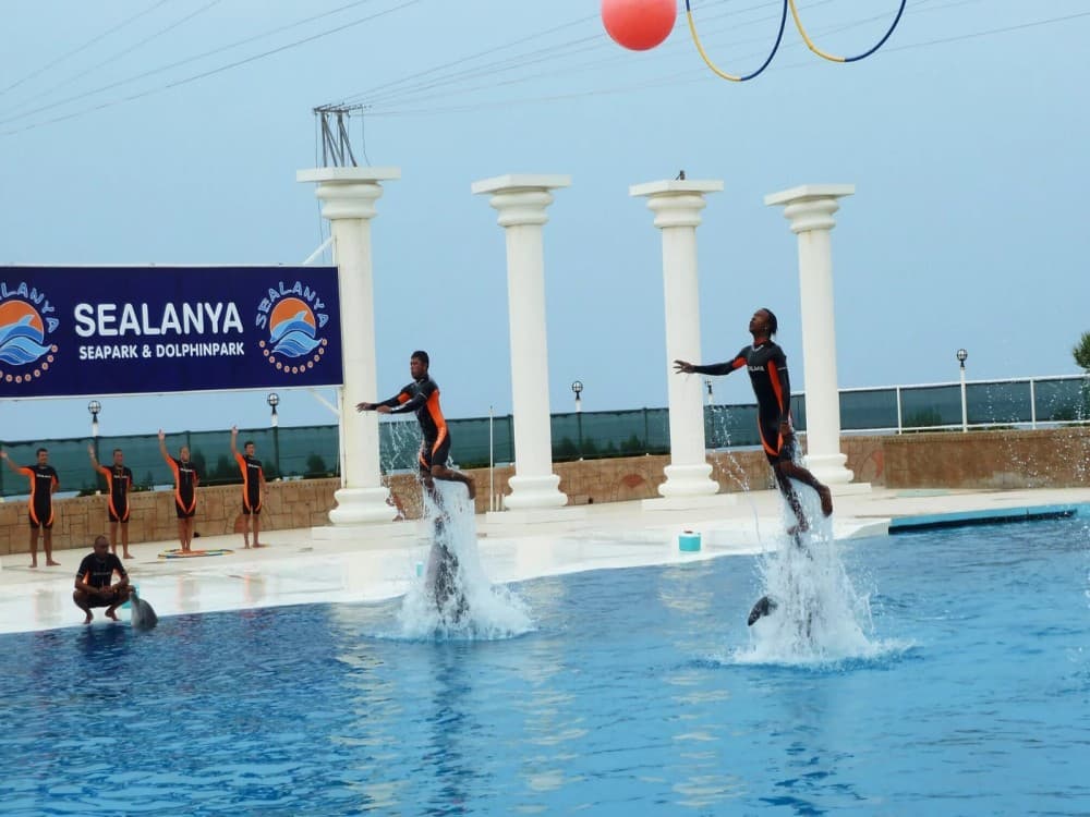 Alanya: Dolphin Show & Swimming with Dolphins Tour | ®ExcursionMania