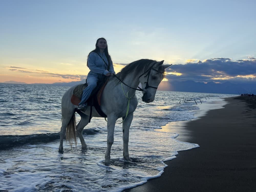 From Belek: Lara Beach  Forrest Horse Riding Safari | ®ExcursionMania