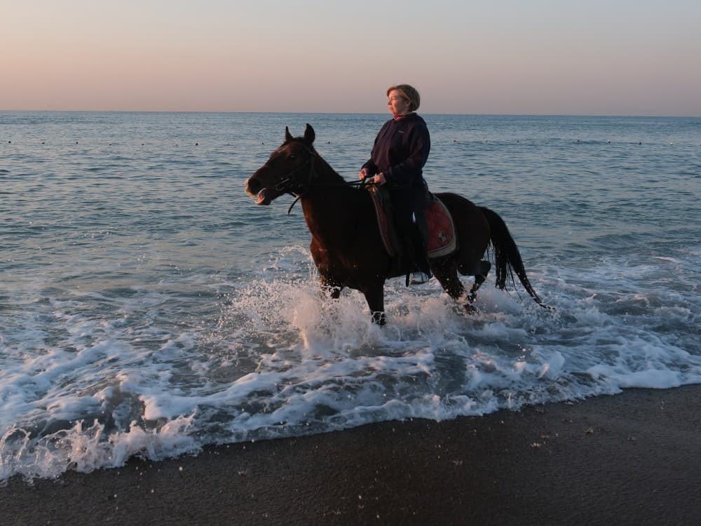 From Belek: Lara Beach  Forrest Horse Riding Safari | ®ExcursionMania