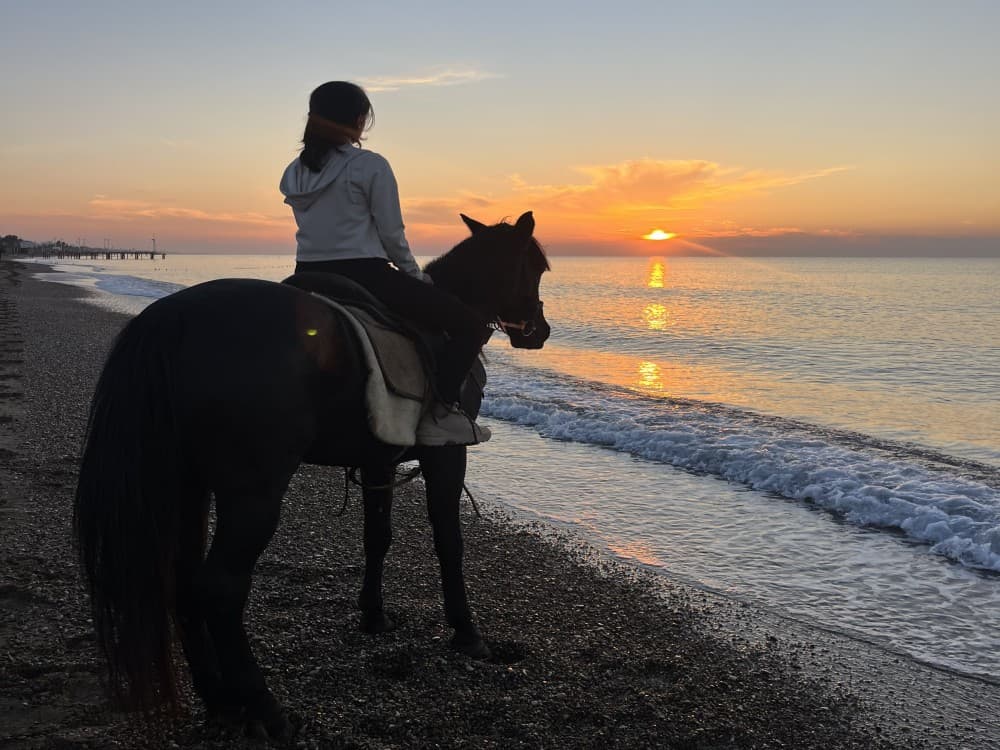 Belek Horse Riding Adventure: A Memorable Experience | ®ExcursionMania