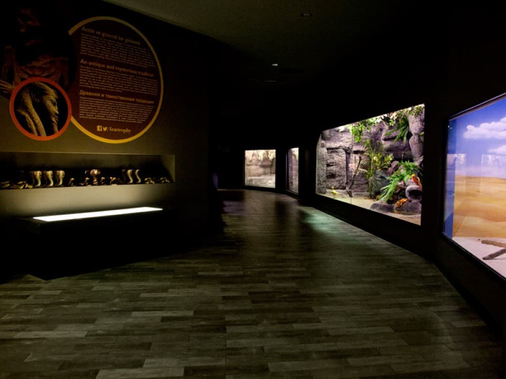 From City of Side: Antalya Aquarium Tour | ®ExcursionMania