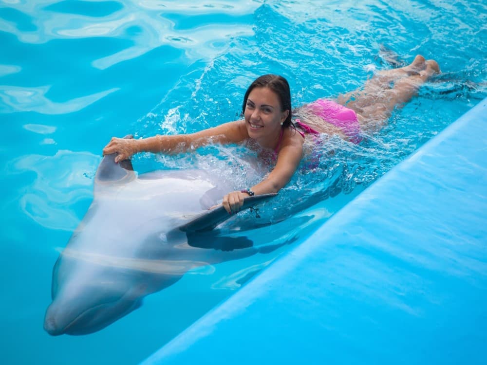 Belek Dolphin Show Tour With Transfers | ®ExcursionMania