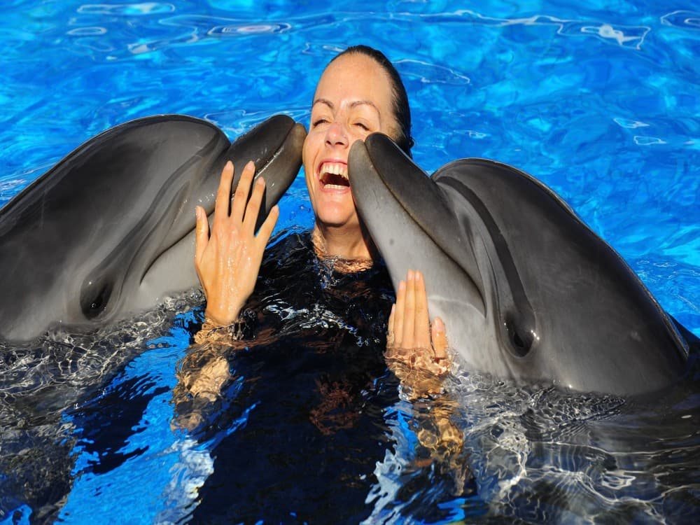 Belek Dolphin Show Tour With Transfers | ®ExcursionMania