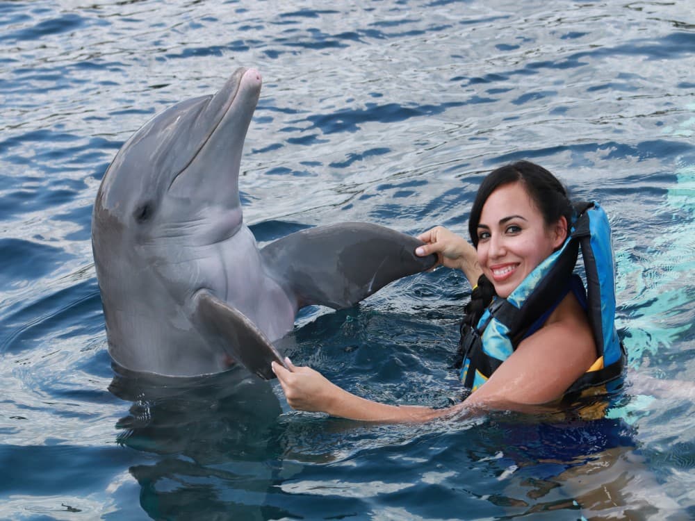 Belek Dolphin Show Tour With Transfers | ®ExcursionMania
