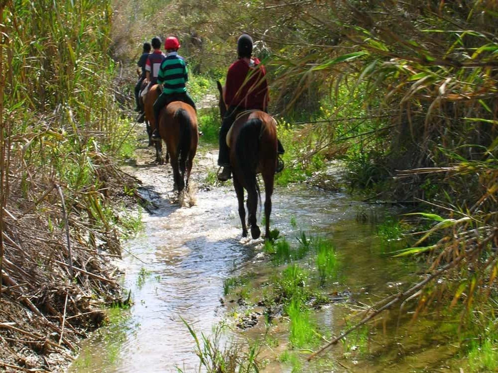 Marmaris: Horse Riding Adventure for All Skill Levels | ®ExcursionMania