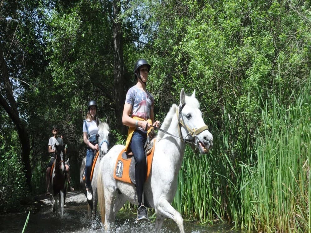 Marmaris: Horse Riding Adventure for All Skill Levels | ®ExcursionMania