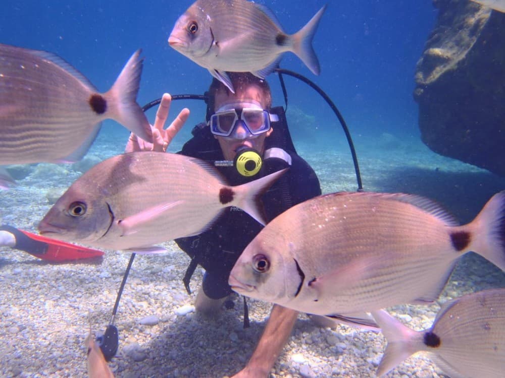 Icmeler Scuba Diving Experience with Instructor | ®ExcursionMania