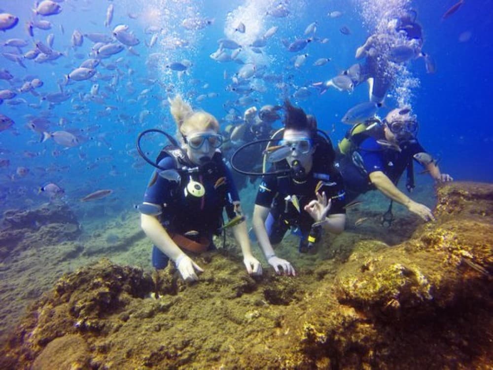 Side Scuba Diving: Explore the Underwater Museum Experience | ®ExcursionMania