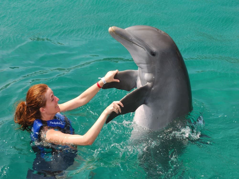 Kemer Dolphinarium : Swimming with Dolphins & Hotel Transfer | ®ExcursionMania
