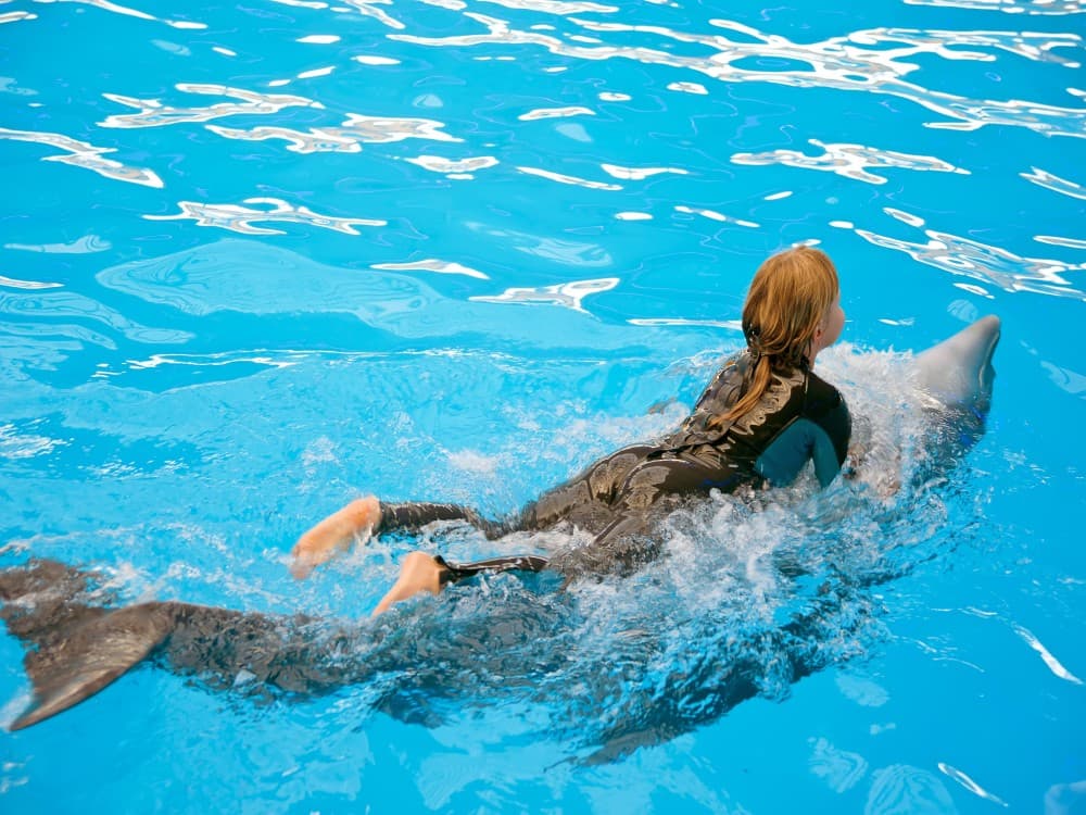 Kemer Dolphinarium : Swimming with Dolphins & Hotel Transfer | ®ExcursionMania
