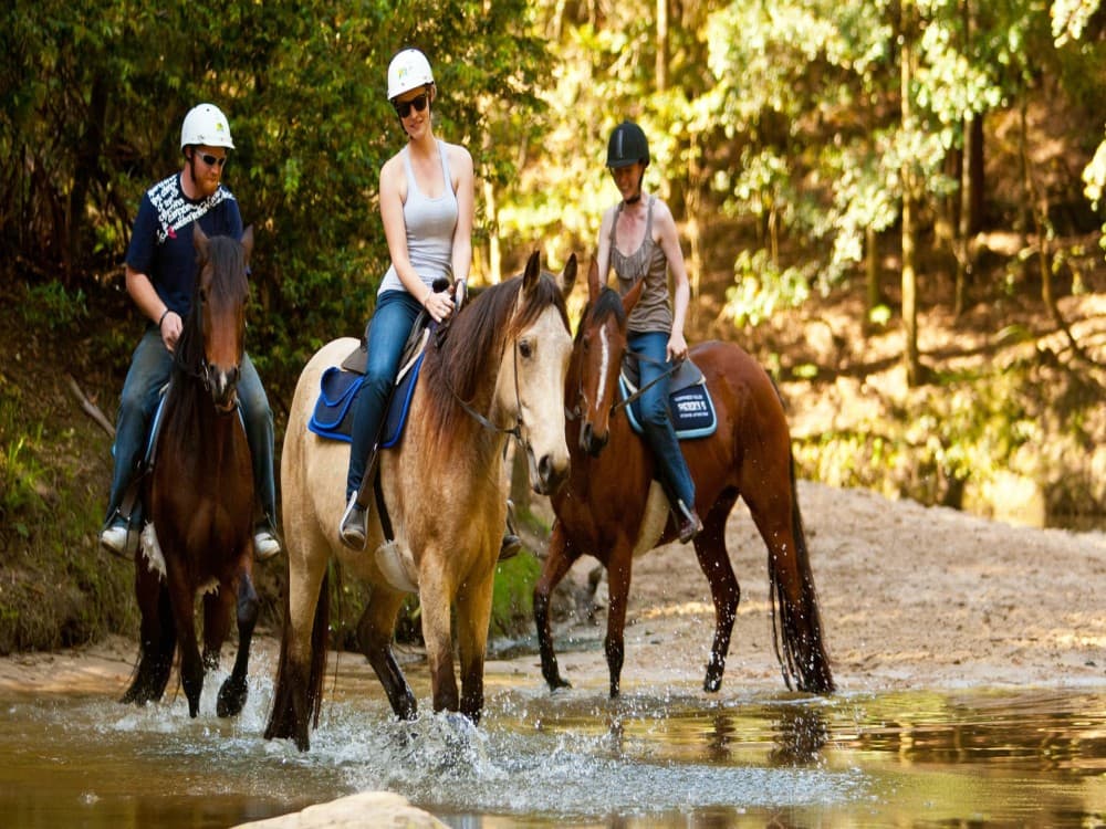 Marmaris Horse Safari & Mini Zoo w/Hotel Pickup | ®ExcursionMania