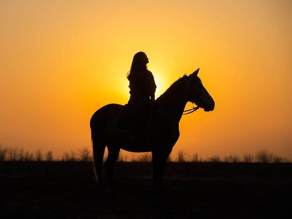 Marmaris Horse Safari & Mini Zoo w/Hotel Pickup | ®ExcursionMania