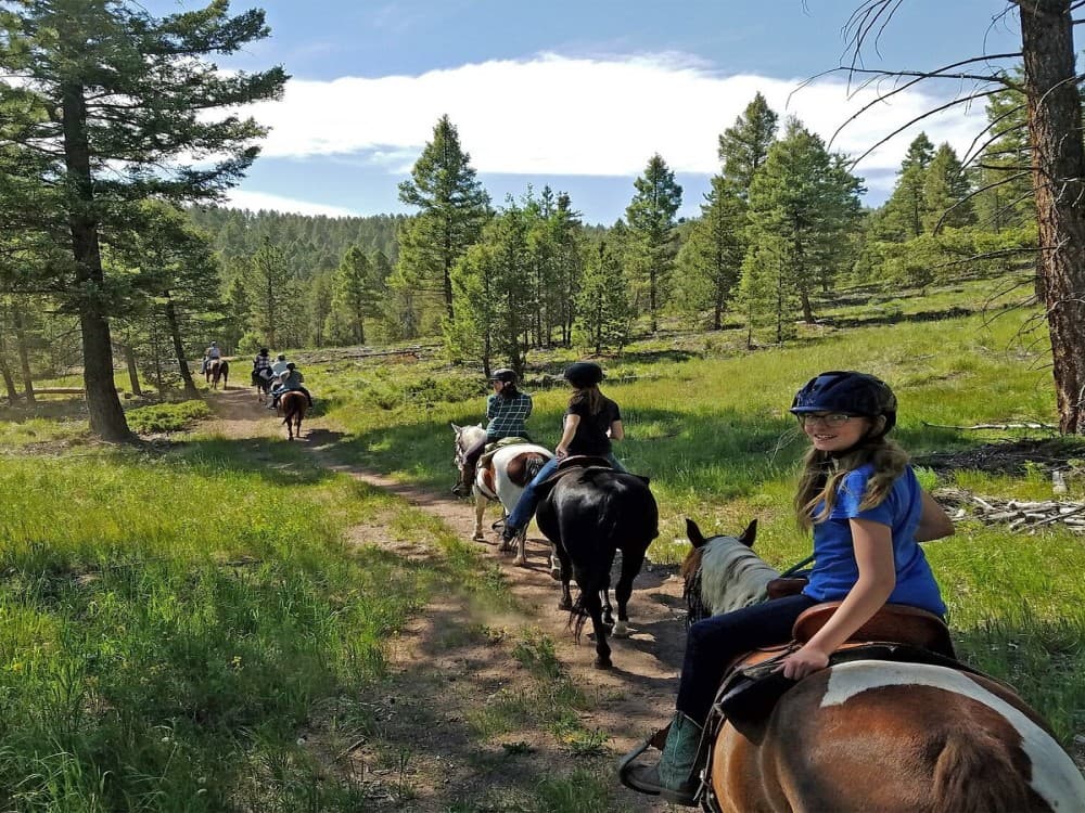 Marmaris Horse Safari & Mini Zoo w/Hotel Pickup | ®ExcursionMania