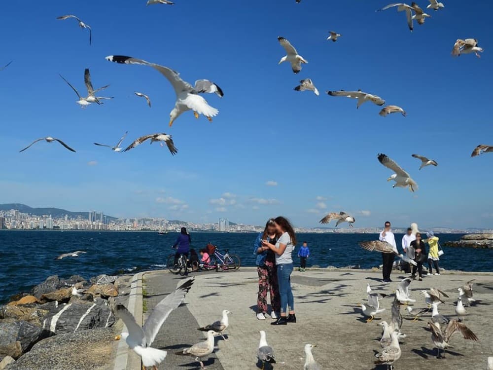 Istanbul: Discover the Princes Islands with Round-Trip Ferry Tickets | ®ExcursionMania