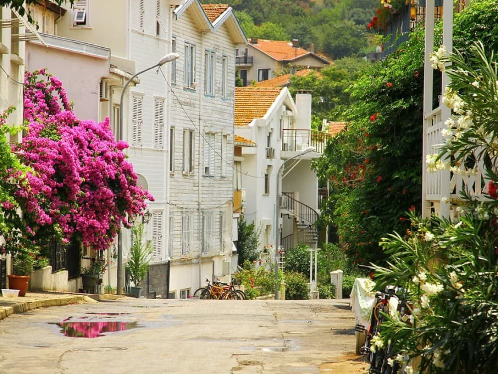 Istanbul: Discover the Princes Islands with Round-Trip Ferry Tickets | ®ExcursionMania