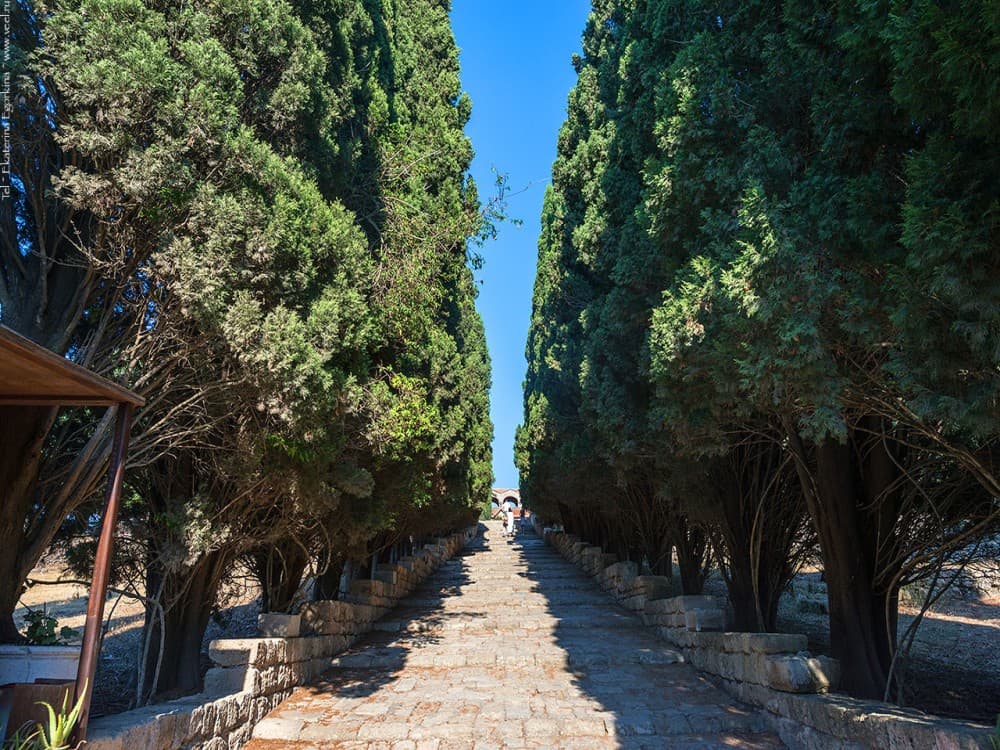Rhodes: Filerimos hill and Butterflies Valley-Small Group | ®ExcursionMania