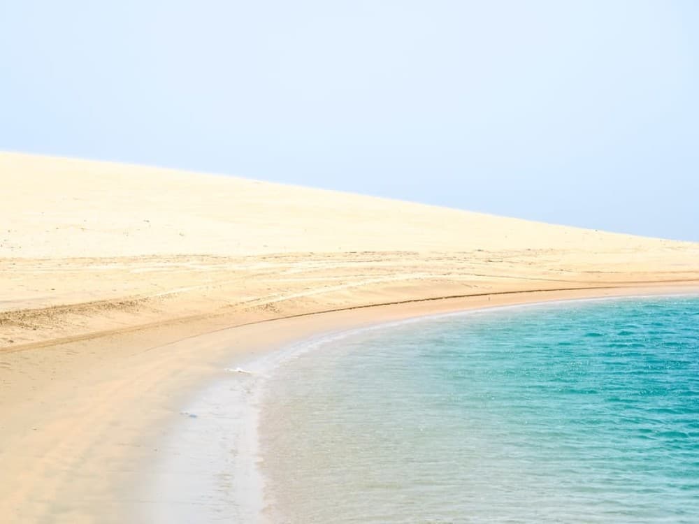 Doha: Safari Camel Ride Sandboarding and Inland Sea Tour | ®ExcursionMania
