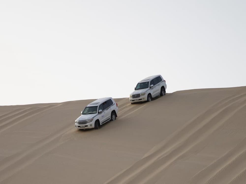 Doha: Safari Camel Ride Sandboarding and Inland Sea Tour | ®ExcursionMania