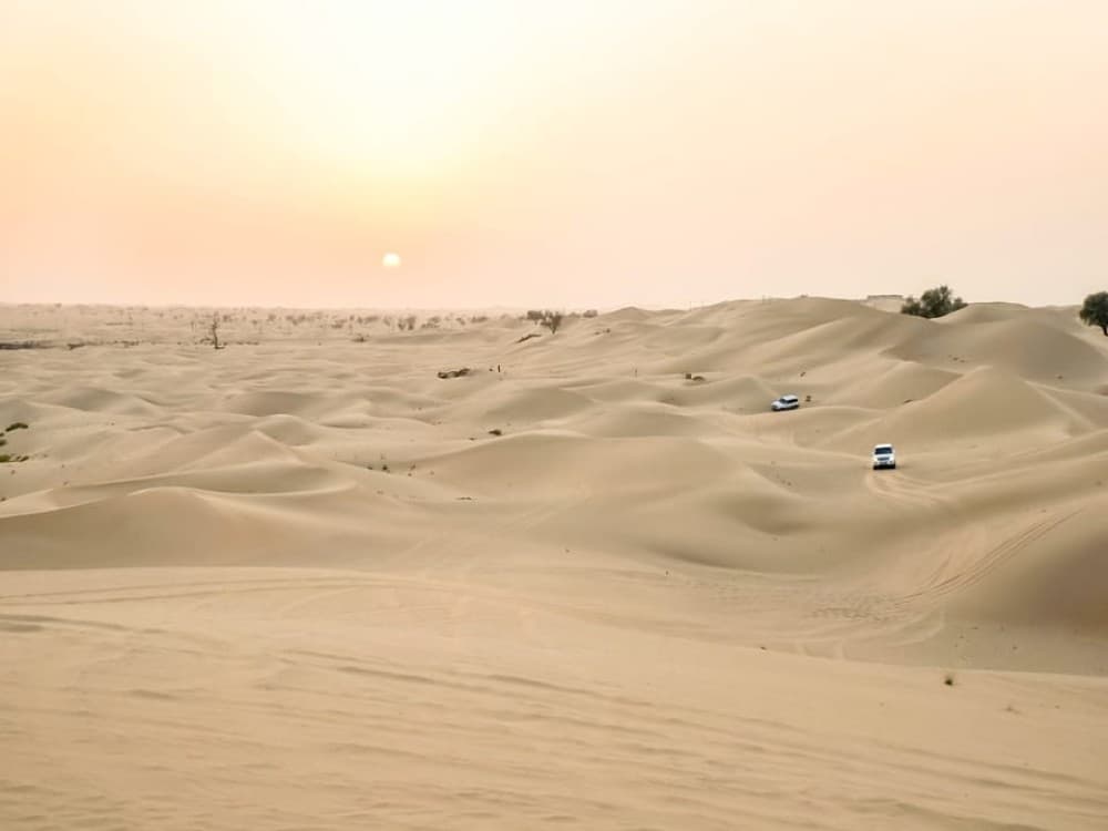 Doha: Safari Camel Ride Sandboarding and Inland Sea Tour | ®ExcursionMania