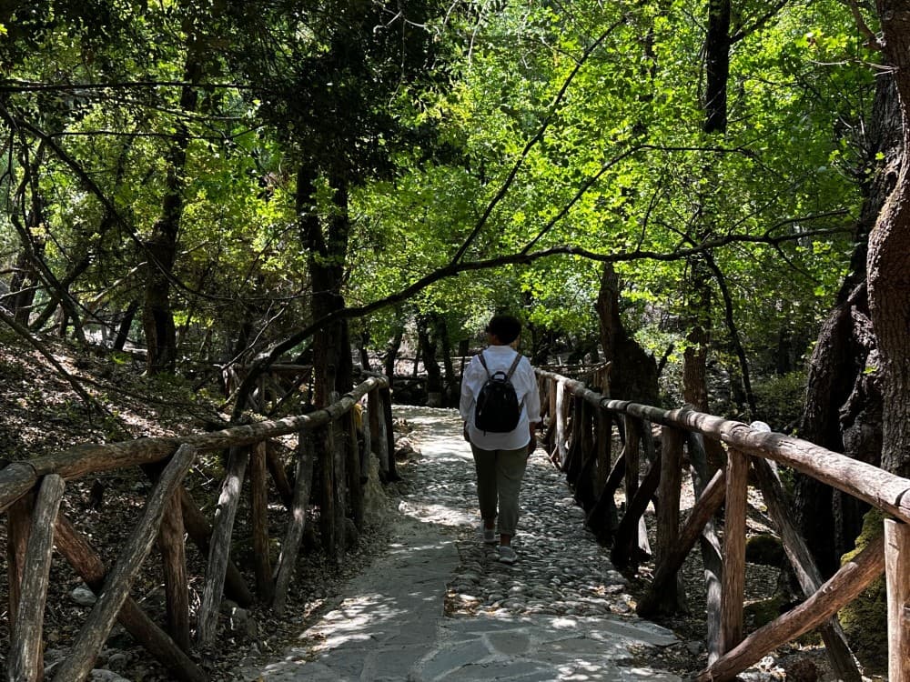Rhodes: Filerimos Hill and Butterfly Valley Bus Trip | ®ExcursionMania