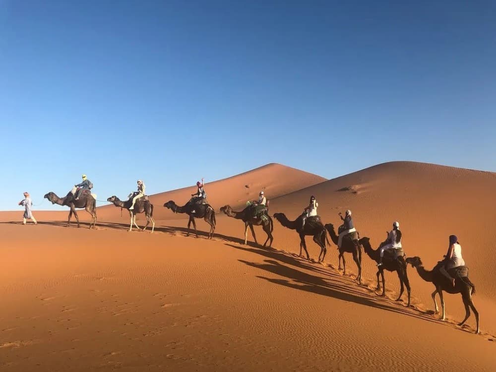 Marrakech: Agafay Desert Quad Camel & Pool Trip with Lunch | ®ExcursionMania