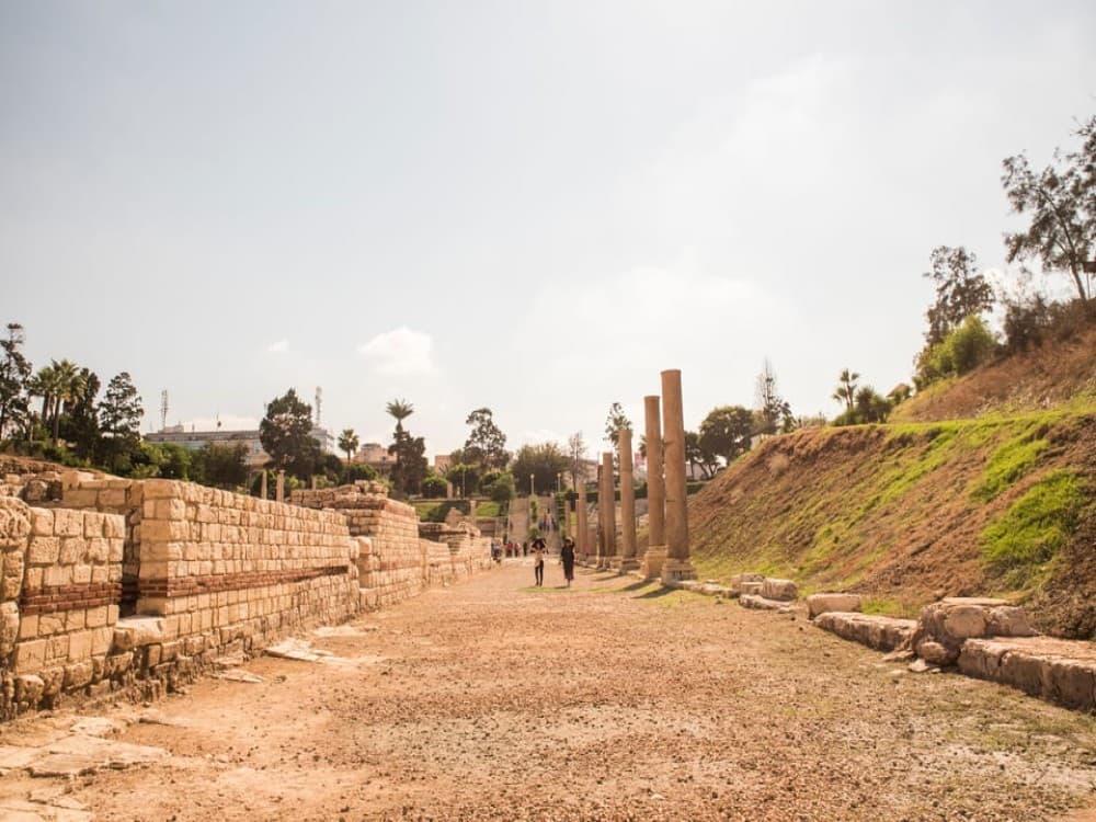 From Cairo Alexandria Catacombs Citadel Day Trip with Lunch | ®ExcursionMania