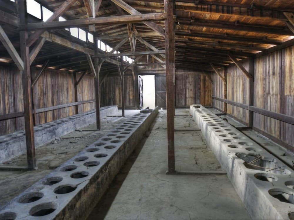 Auschwitz-Birkenau & Guided Tour from Krakow: A Deep Dive into History | ®ExcursionMania