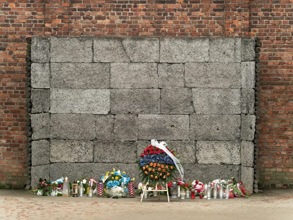 Auschwitz-Birkenau & Guided Tour from Krakow: A Deep Dive into History | ®ExcursionMania