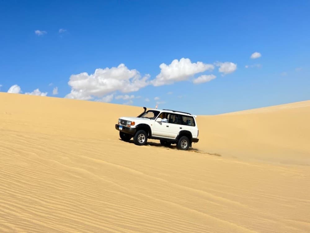 From Cairo: Desert Safari Camel Ride Magic Lake & Lunch | ®ExcursionMania