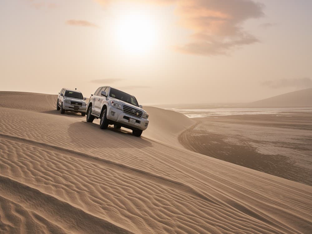 Doha: From Cruise Terminal Desert Safari & City Tour FullDay | ®ExcursionMania