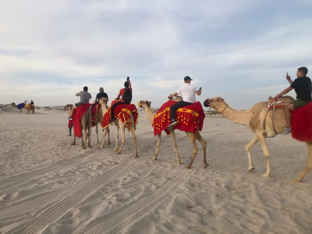Doha Activities: Desert Safari Dune Bashing & Inland Sea | ®ExcursionMania